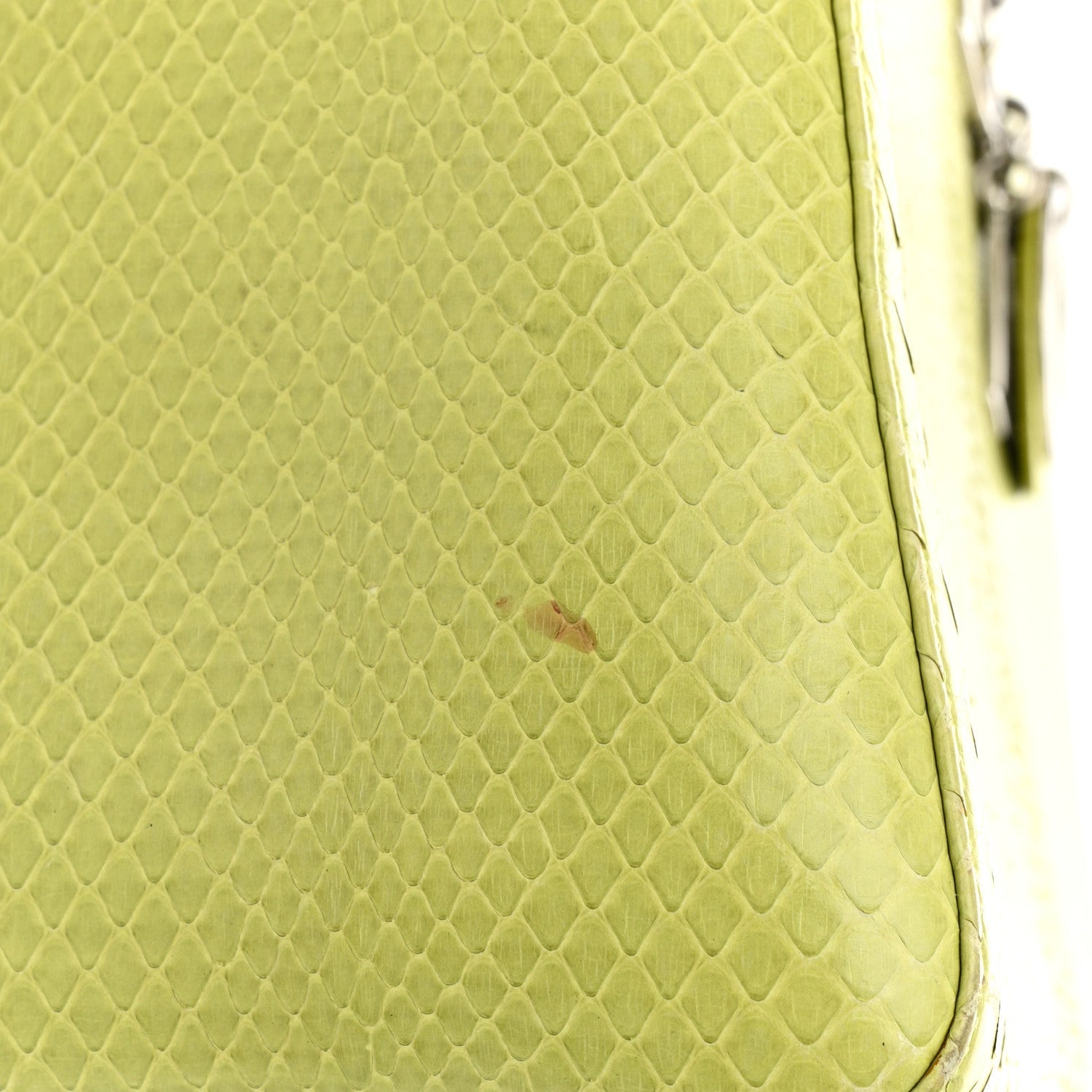 Christian Dior Snakeskin Medium Lady Dior Green