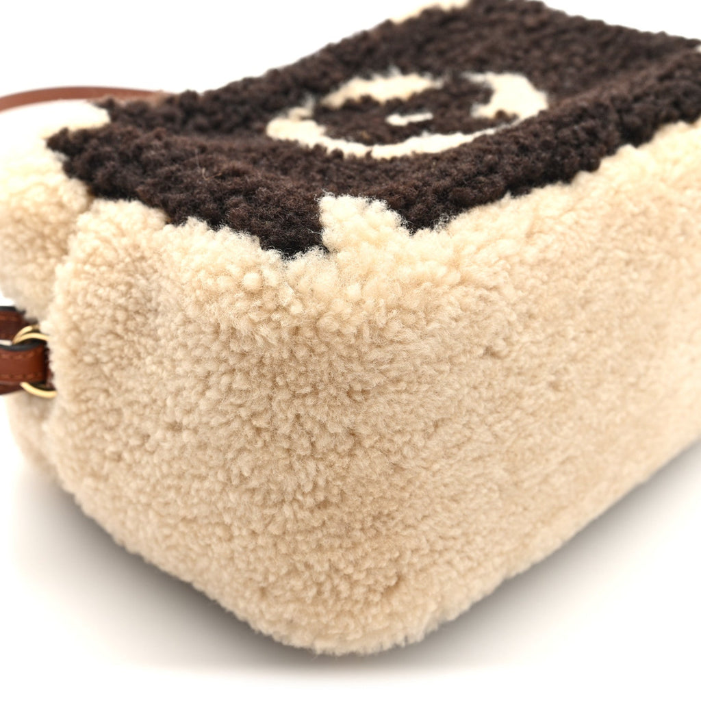 Louis Vuitton Monogram Teddy Beach Pouch