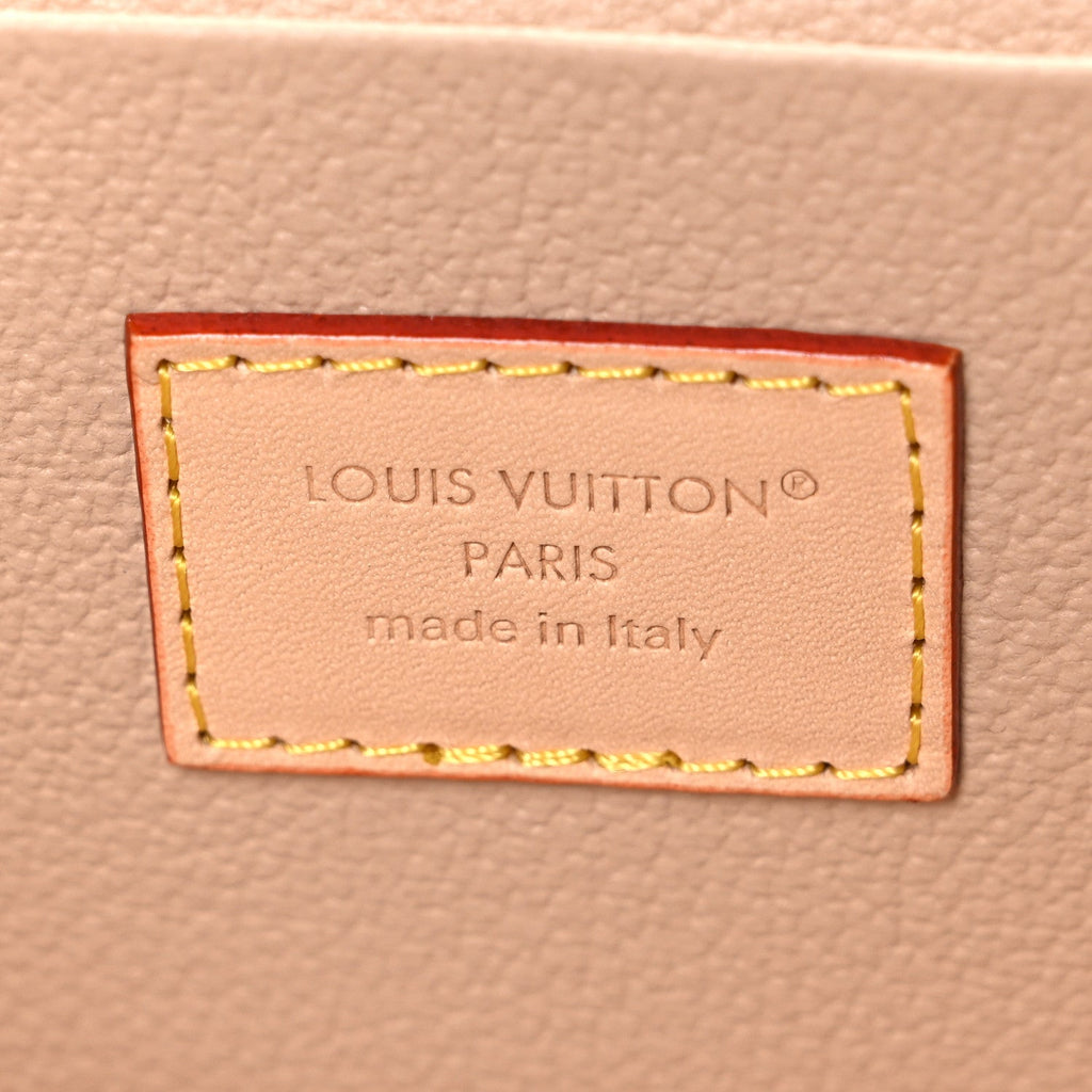 Louis Vuitton Monogram Nice Mini