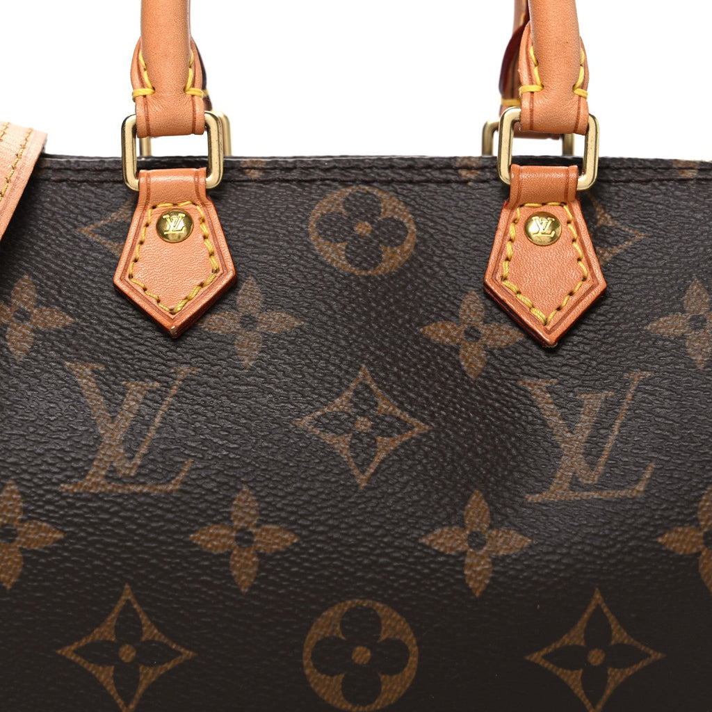 Louis Vuitton Monogram Nano Speedy