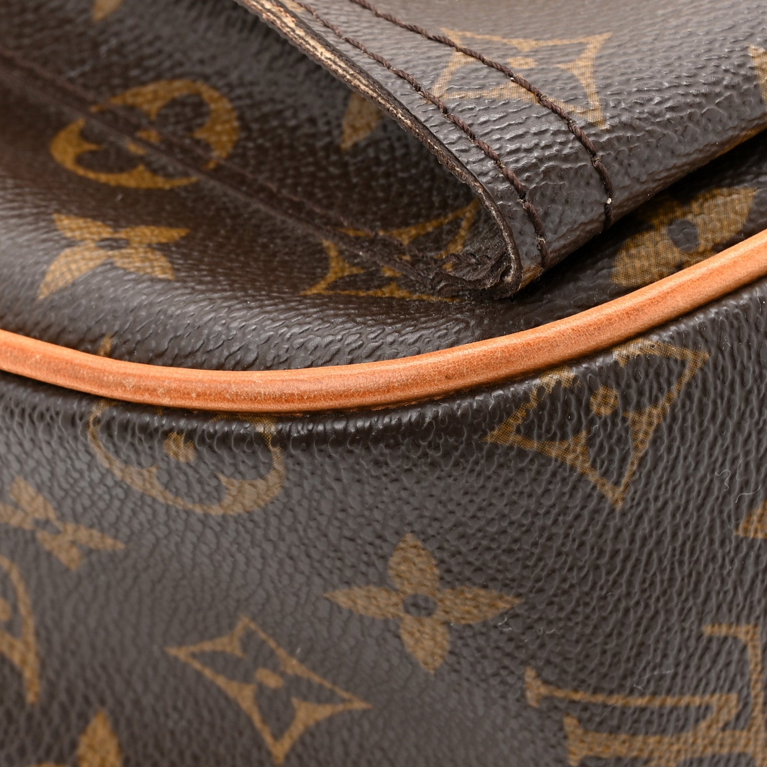 Louis Vuitton Monogram Hudson GM