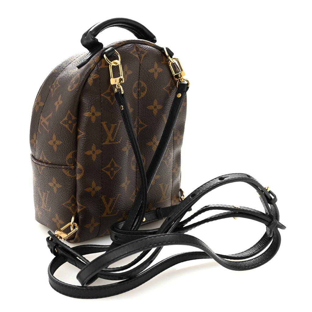 Louis Vuitton Monogram Palm Springs Backpack Mini