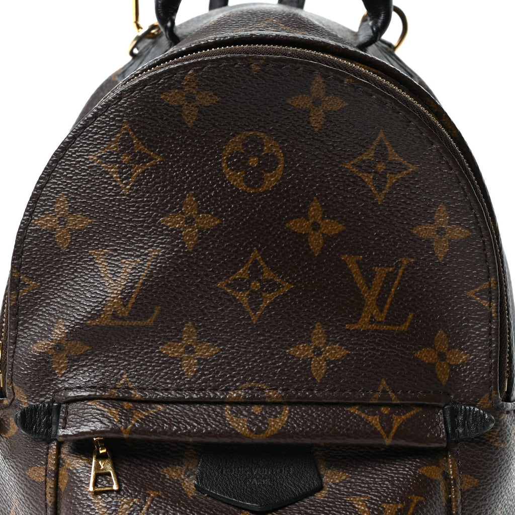Louis Vuitton Monogram Palm Springs Backpack Mini
