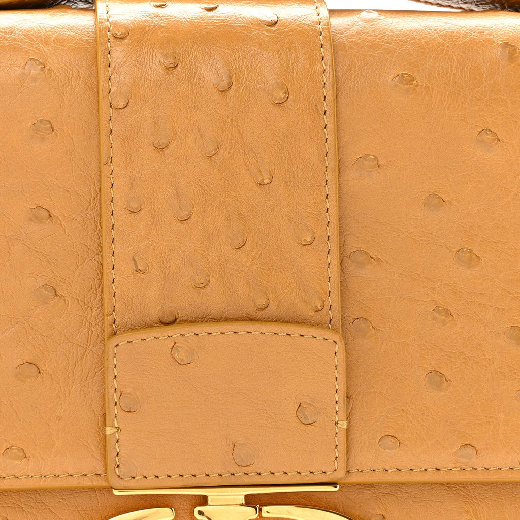 Christian Dior Ostrich 30 Montaigne Flap Bag Brown