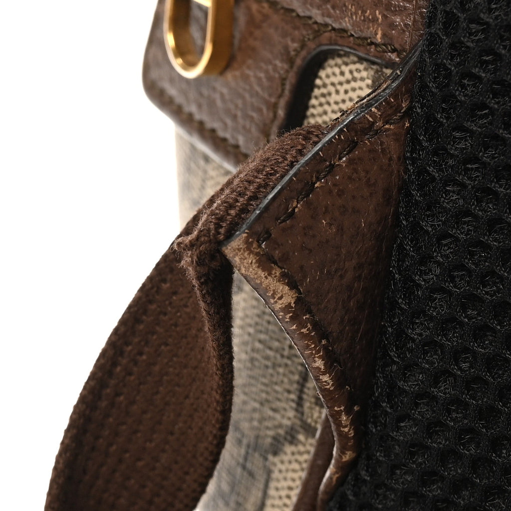 Gucci GG Supreme Monogram Medium Ophidia Day Backpack Brown