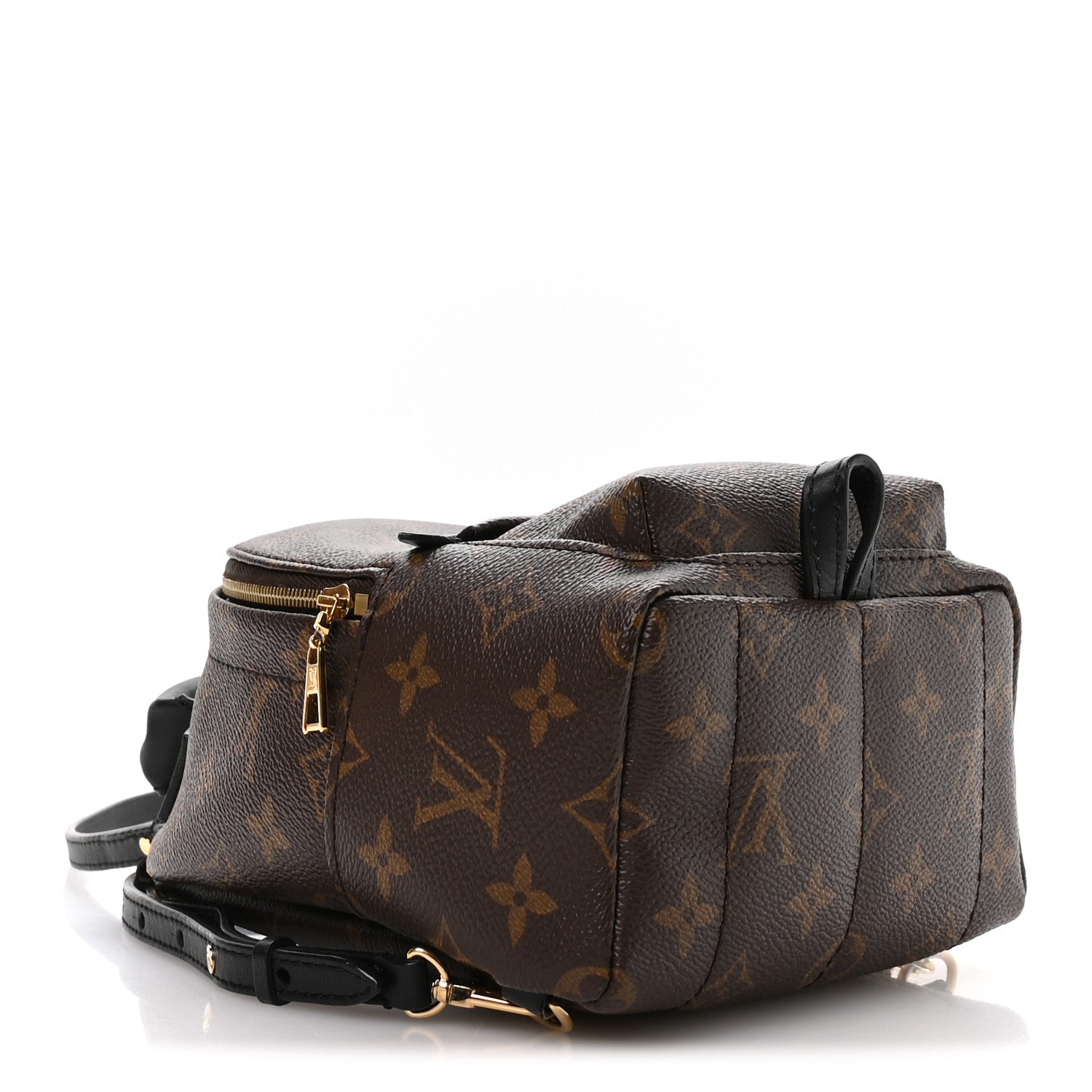 Louis Vuitton Monogram Palm Springs Backpack Mini