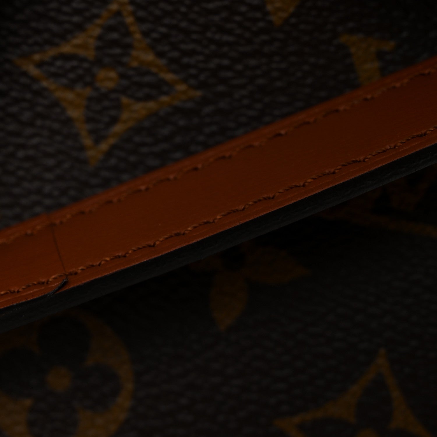 Louis Vuitton Reverse Monogram Loop Hobo