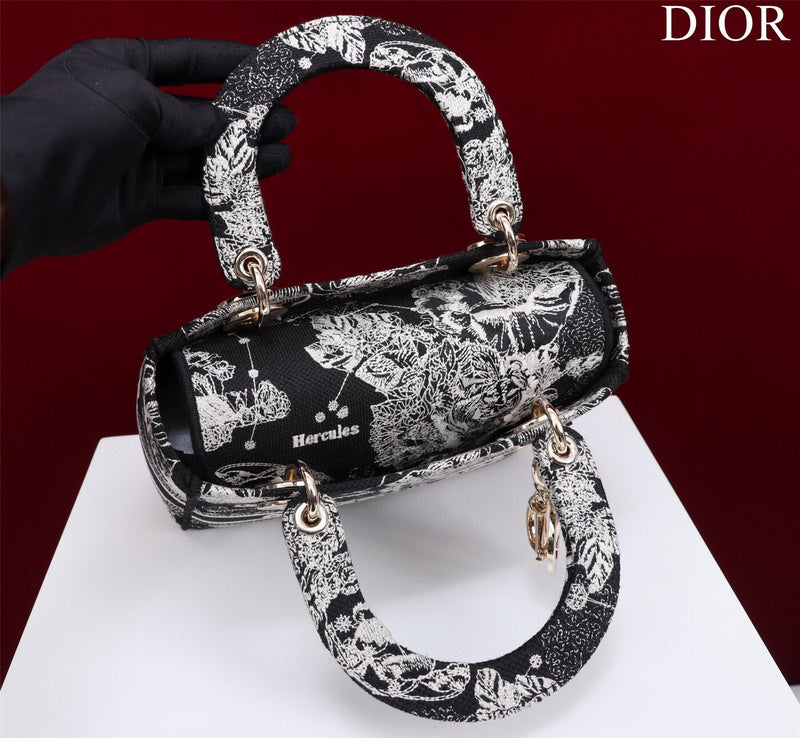 Dior Bag