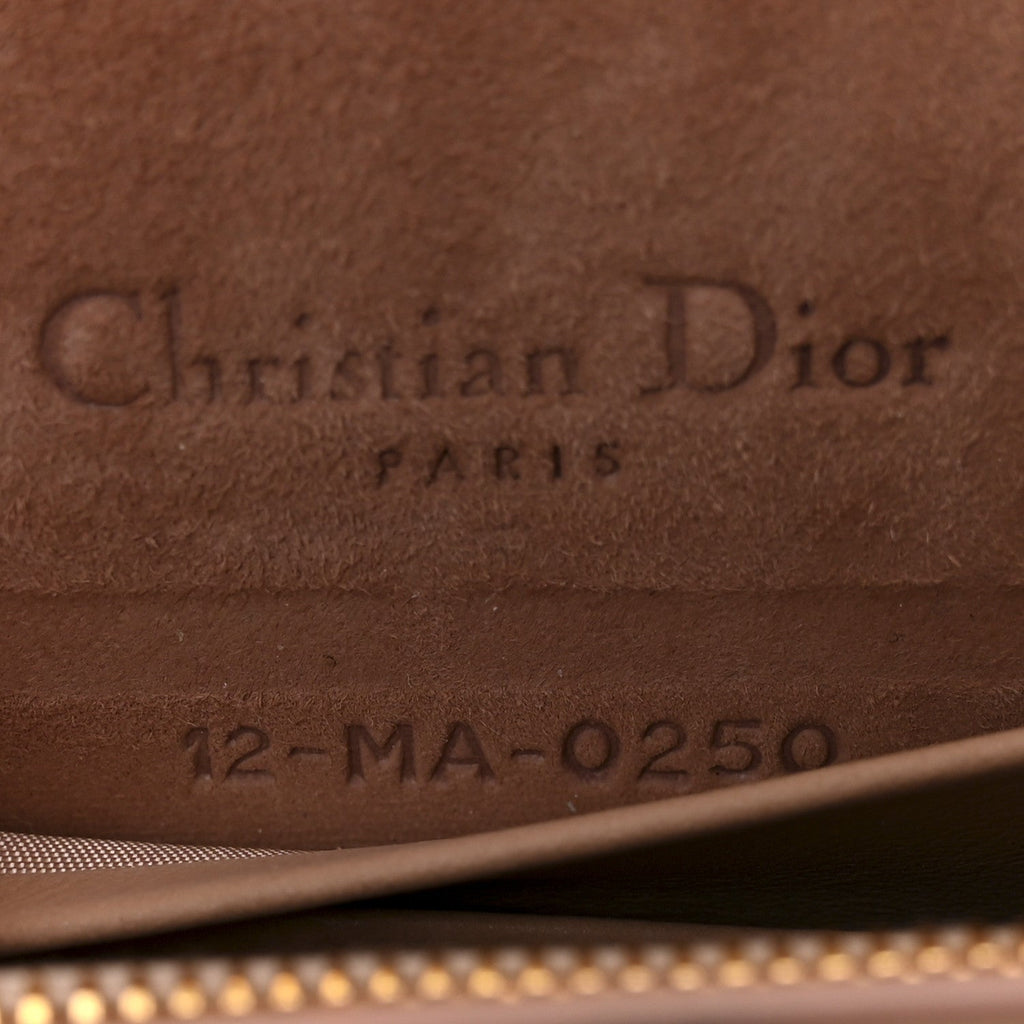 Christian Dior Ultra Matte Calfskin Belt Bag Fard