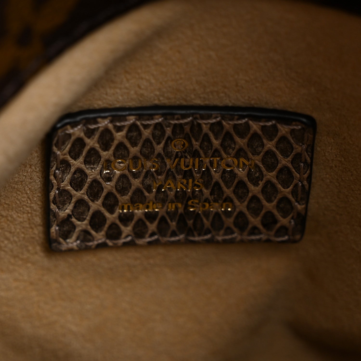 Louis Vuitton Snakeskin Monogram Artsy MM
