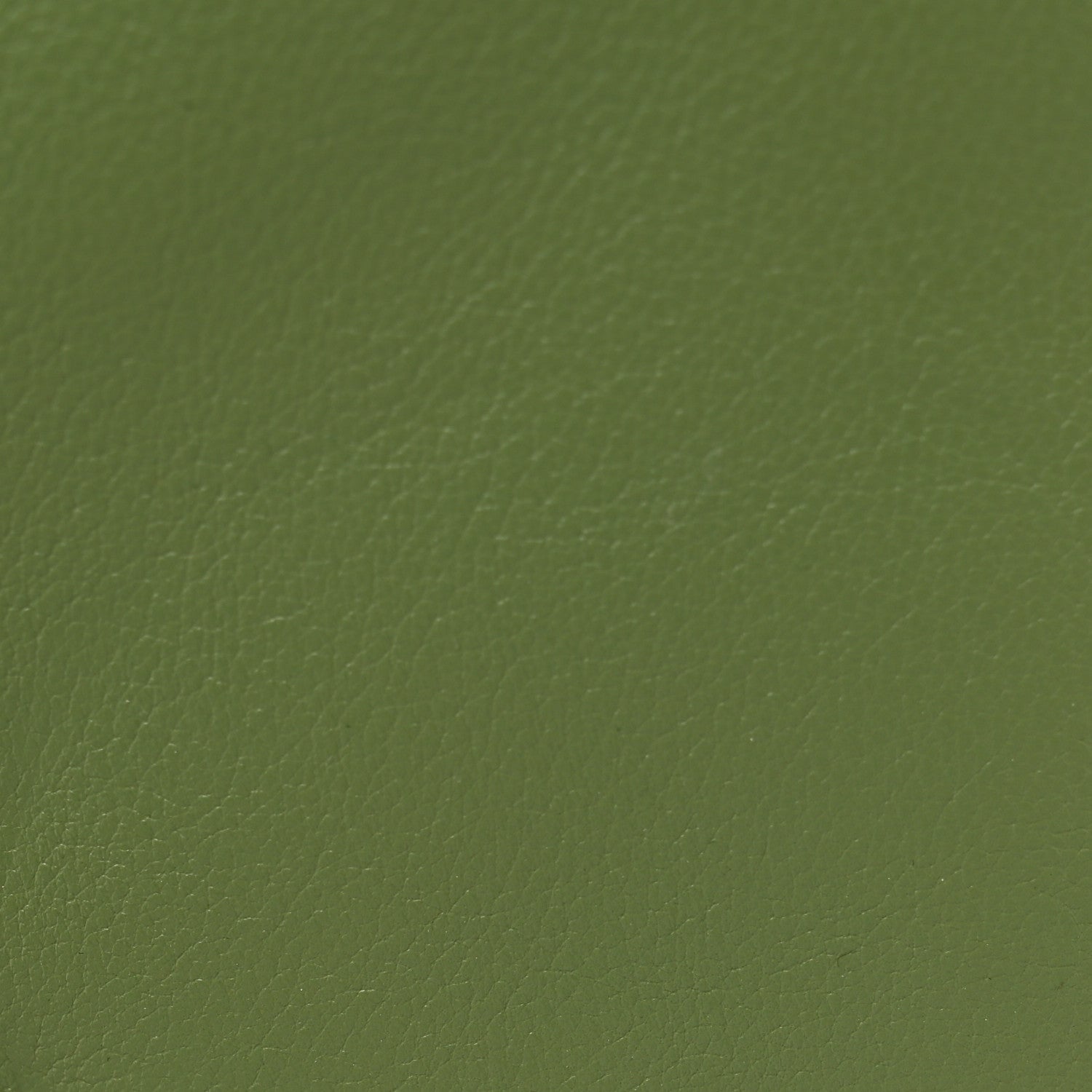 Gucci Roxy Calfskin Web Medium Blondie Top Handle Shoulder Flap Bag Salamander Green