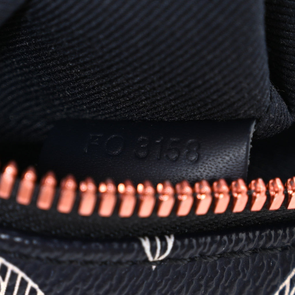 Louis Vuitton Monogram Upside Down Danube PM