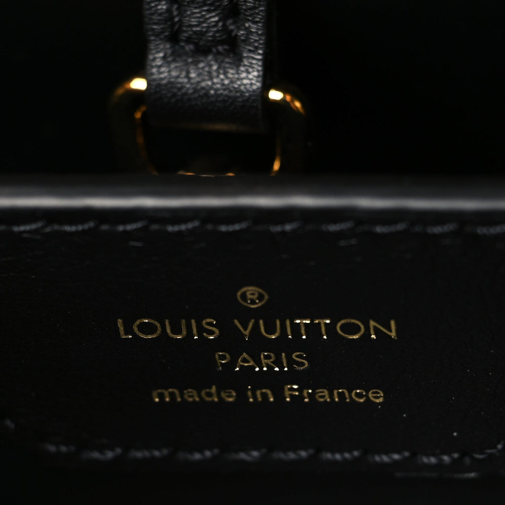 Louis Vuitton Calfskin Since 1854 Embroidered Capucines PM Black