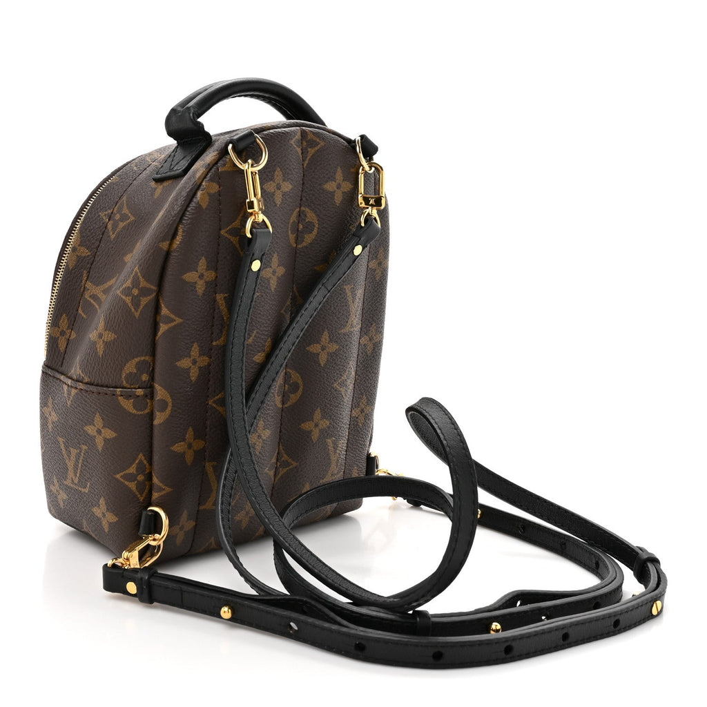 Louis Vuitton Monogram Palm Springs Backpack Mini