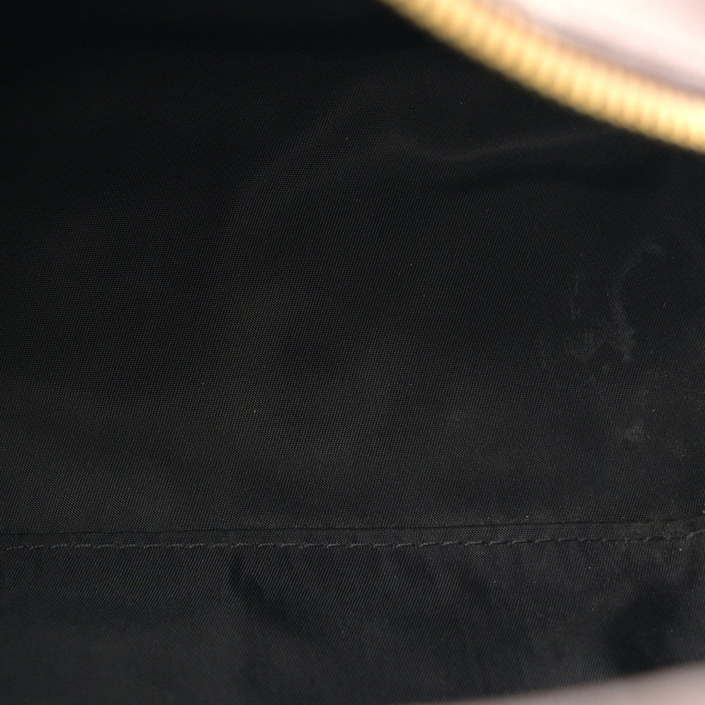 Louis Vuitton Monogram Palm Springs Backpack PM