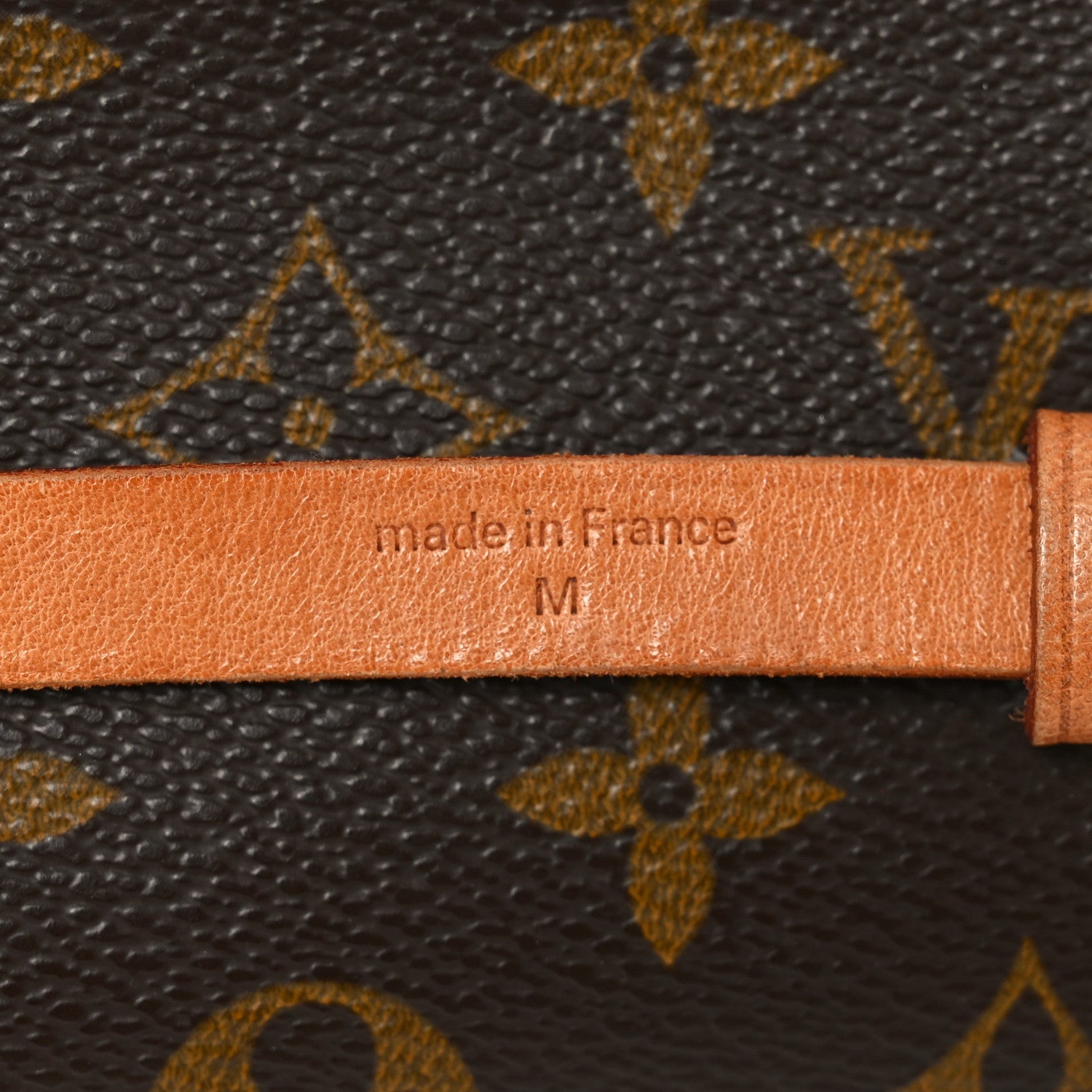 Louis Vuitton Monogram Pochette Florentine M