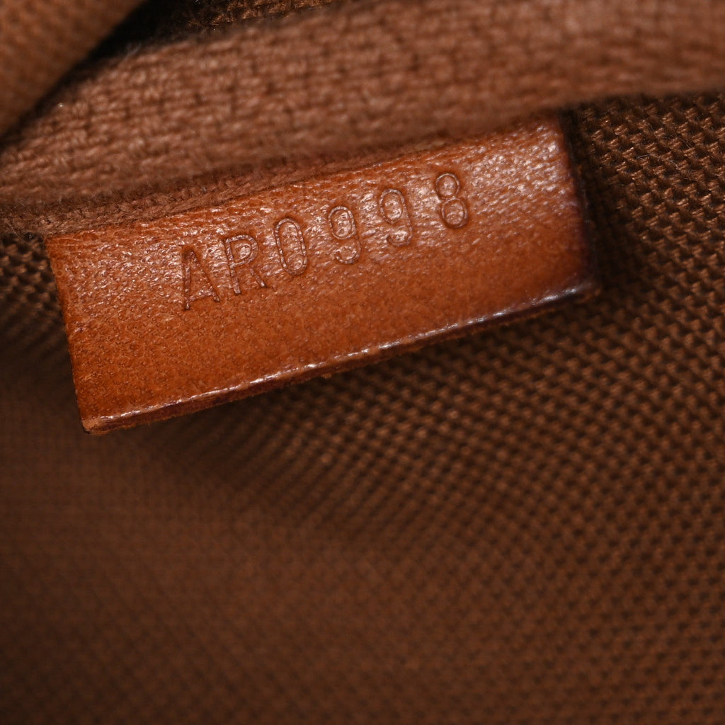 Louis Vuitton Monogram Pochette Accessories