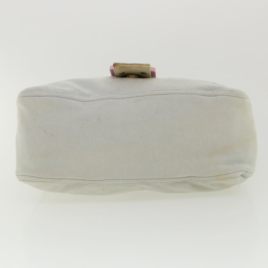 FENDI Shoulder Bag Canvas Light Blue Auth am3717