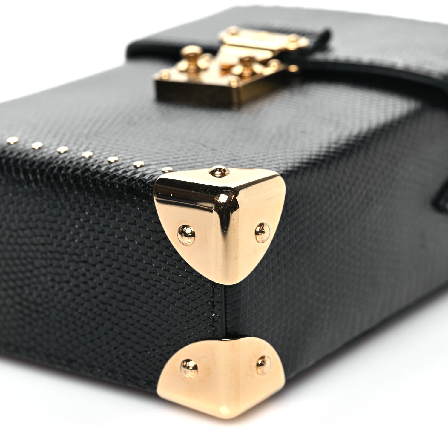 Louis Vuitton Lizard Camera Box Black