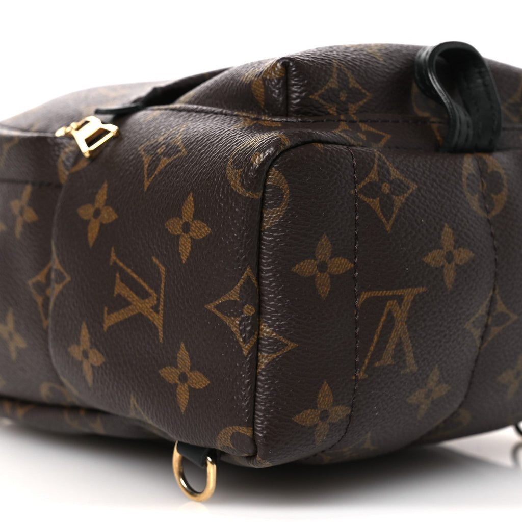 Louis Vuitton Monogram Palm Springs Backpack Mini