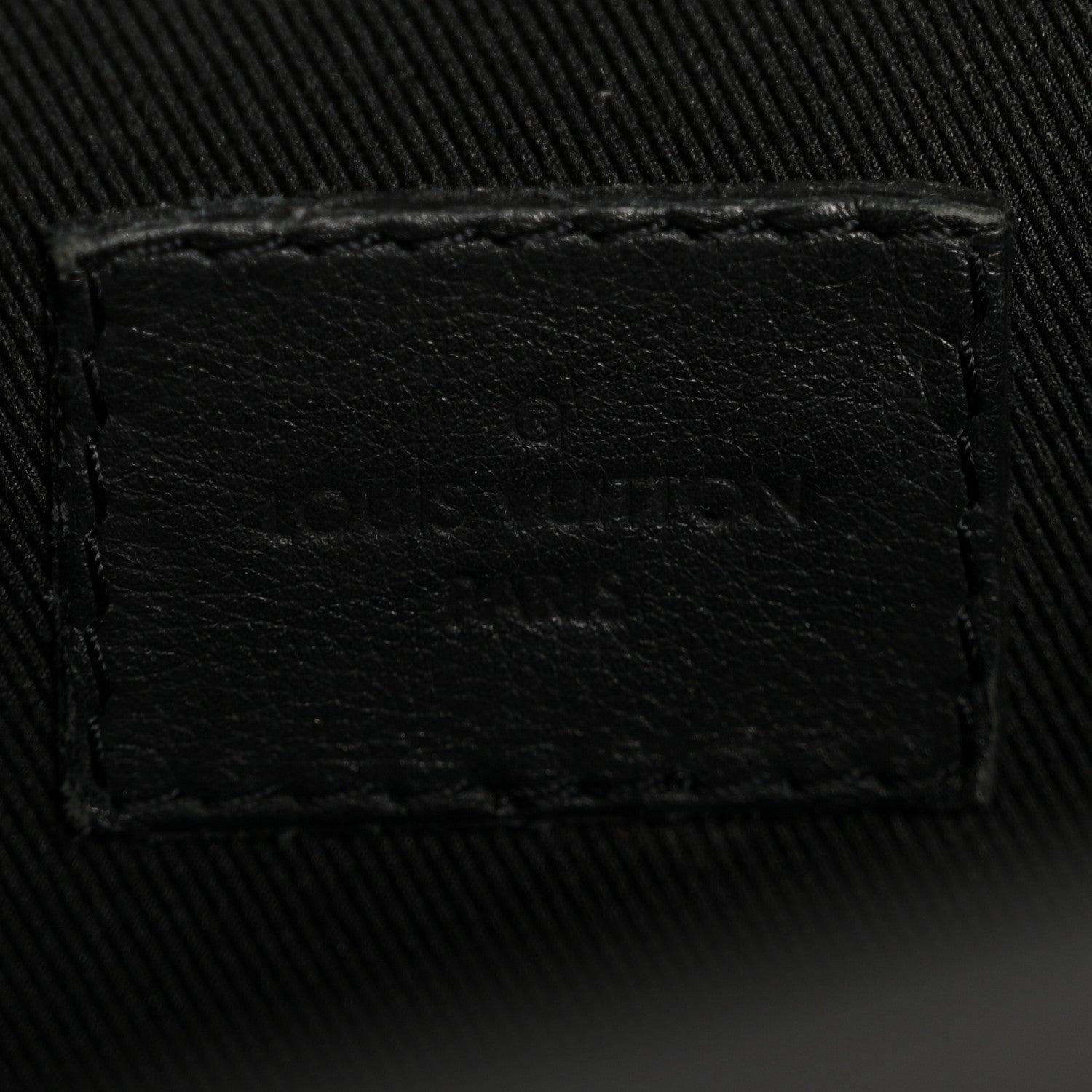 Louis Vuitton Monogram Palm Springs Backpack Mini
