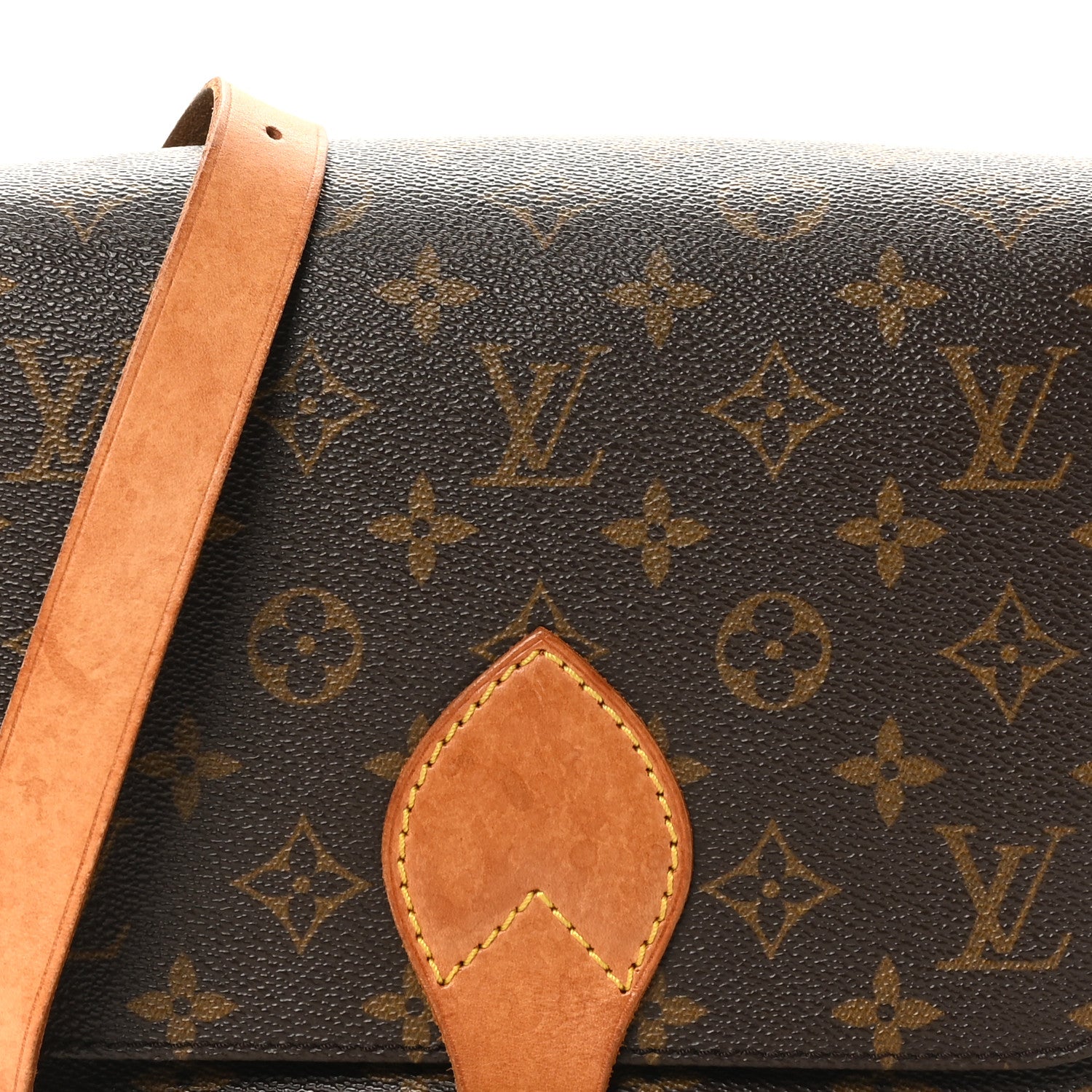 Louis Vuitton Monogram Cartouchiere 22