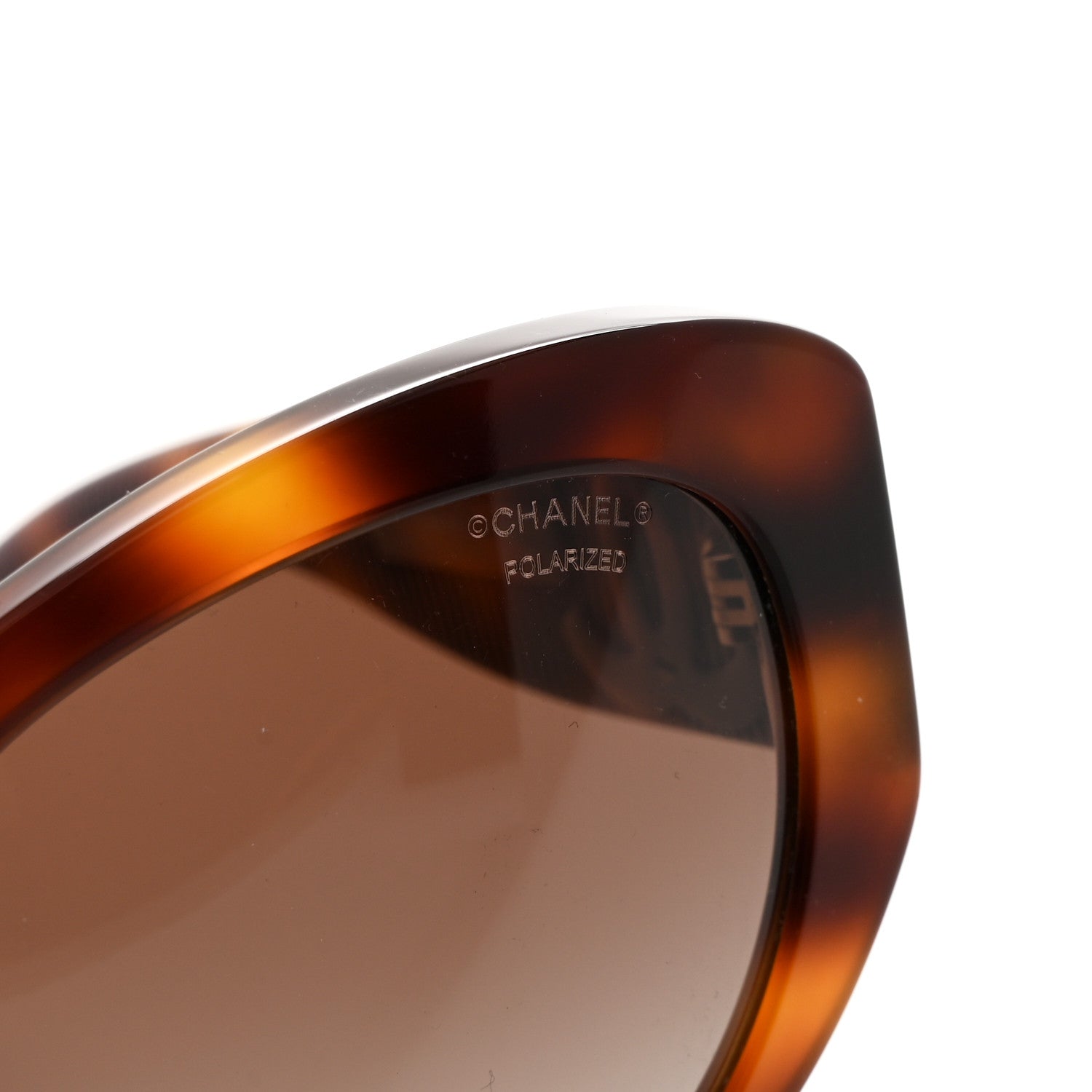 Acetate Polarized Butterfly Large CC Sunglasses 5492-A Tortoise