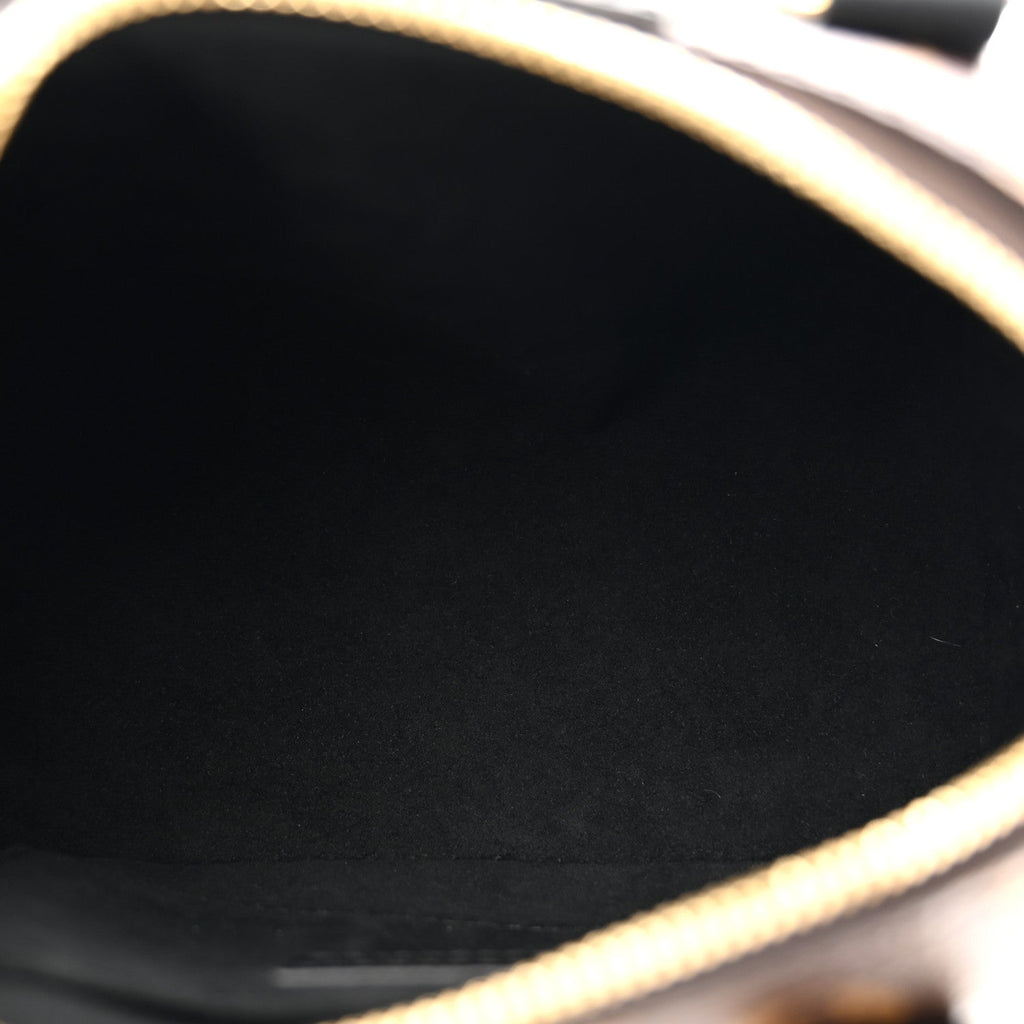 Louis Vuitton Reverse Monogram Speedy Trunk 20