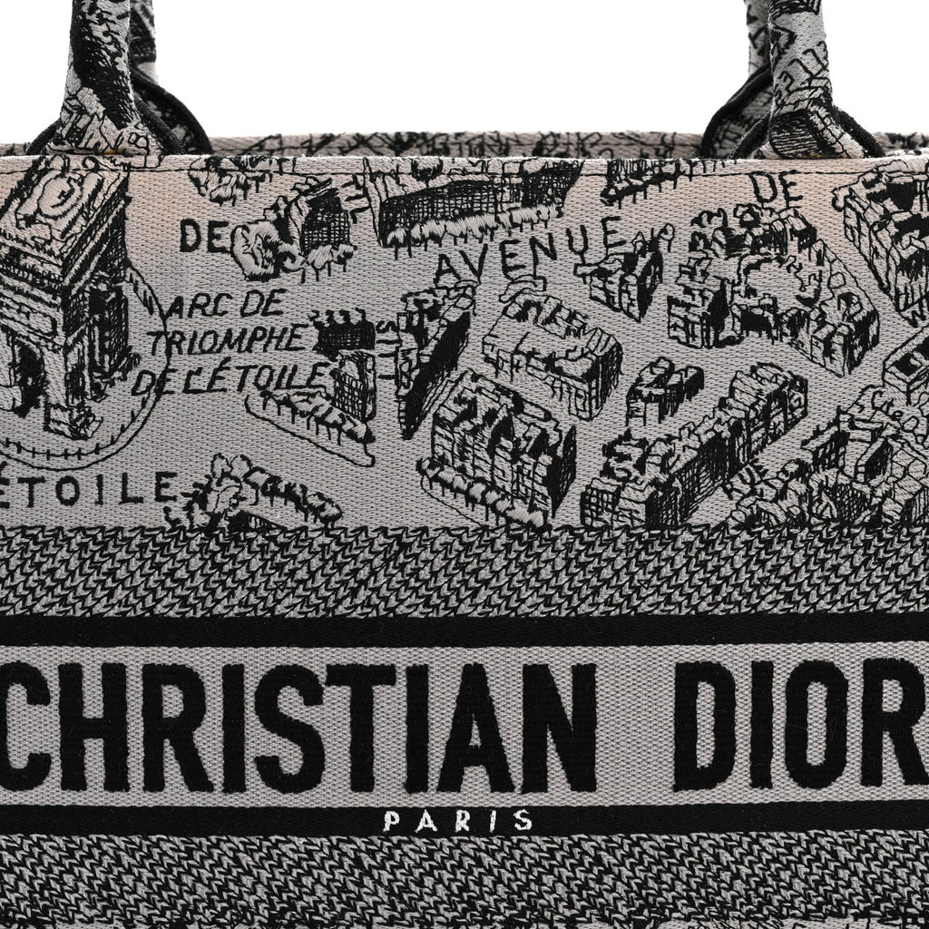 Christian Dior Canvas Embroidered Medium Plan De Paris Book Tote Grey Black