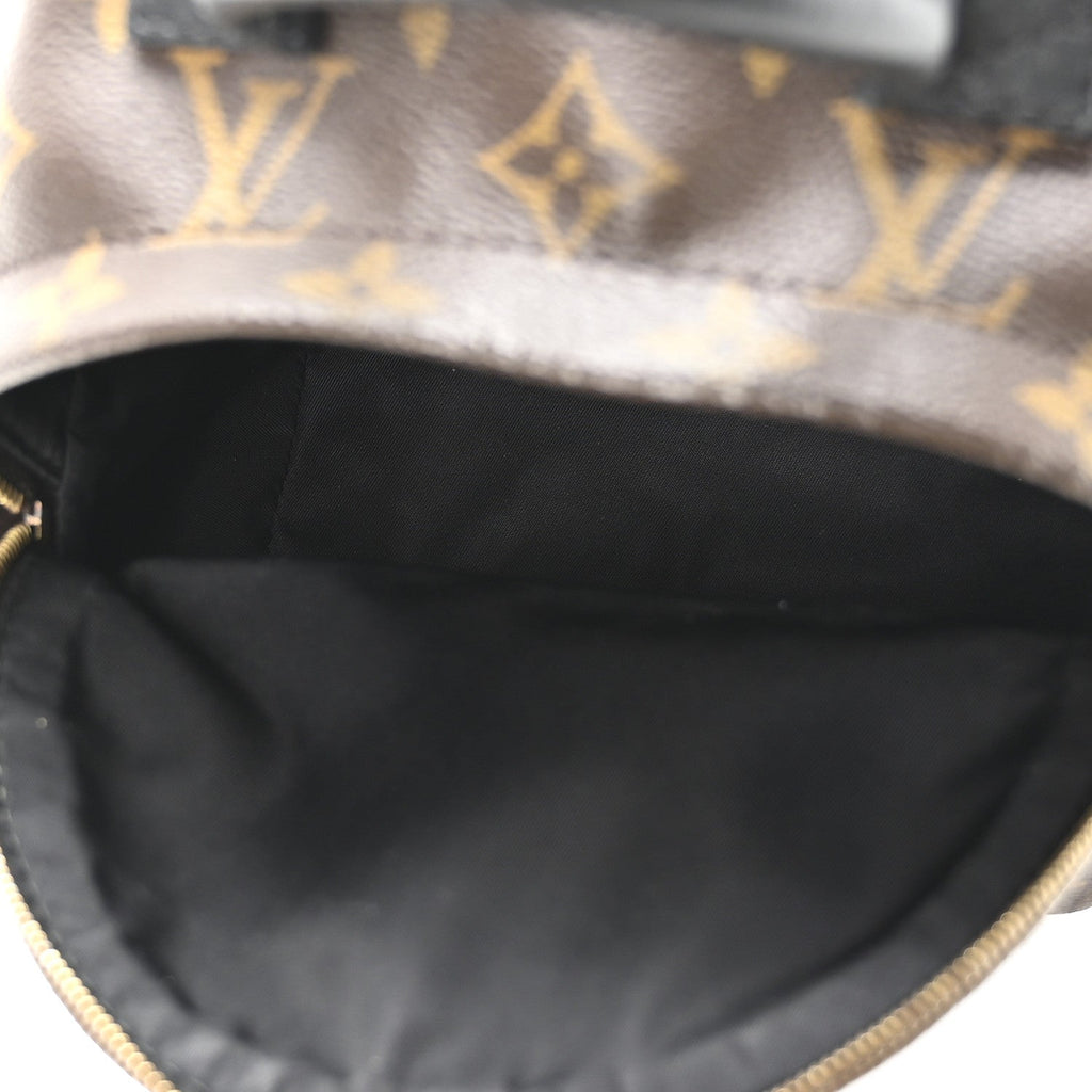 Louis Vuitton Monogram Palm Springs Backpack Mini