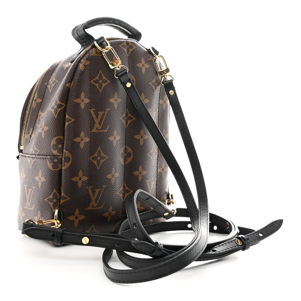 Louis Vuitton Monogram Palm Springs Backpack Mini