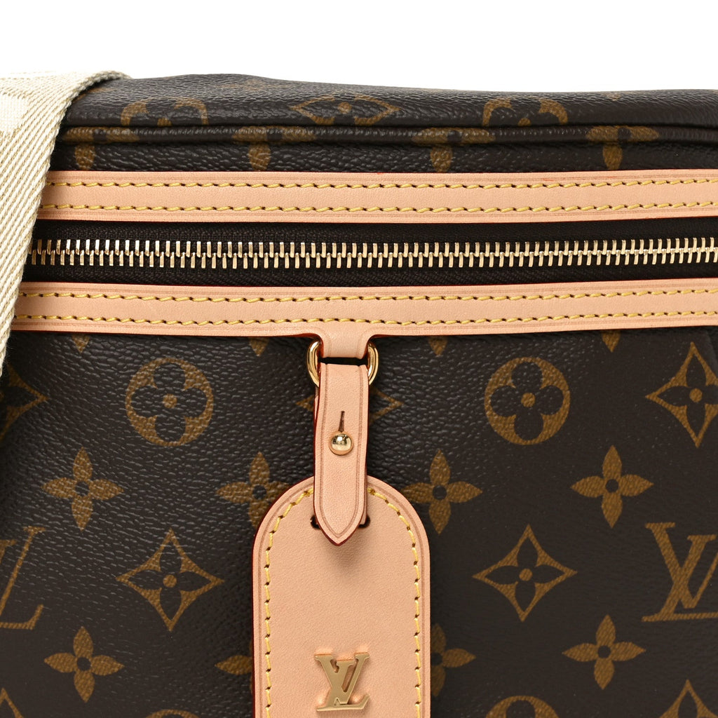 Louis Vuitton Monogram High Rise Bumbag