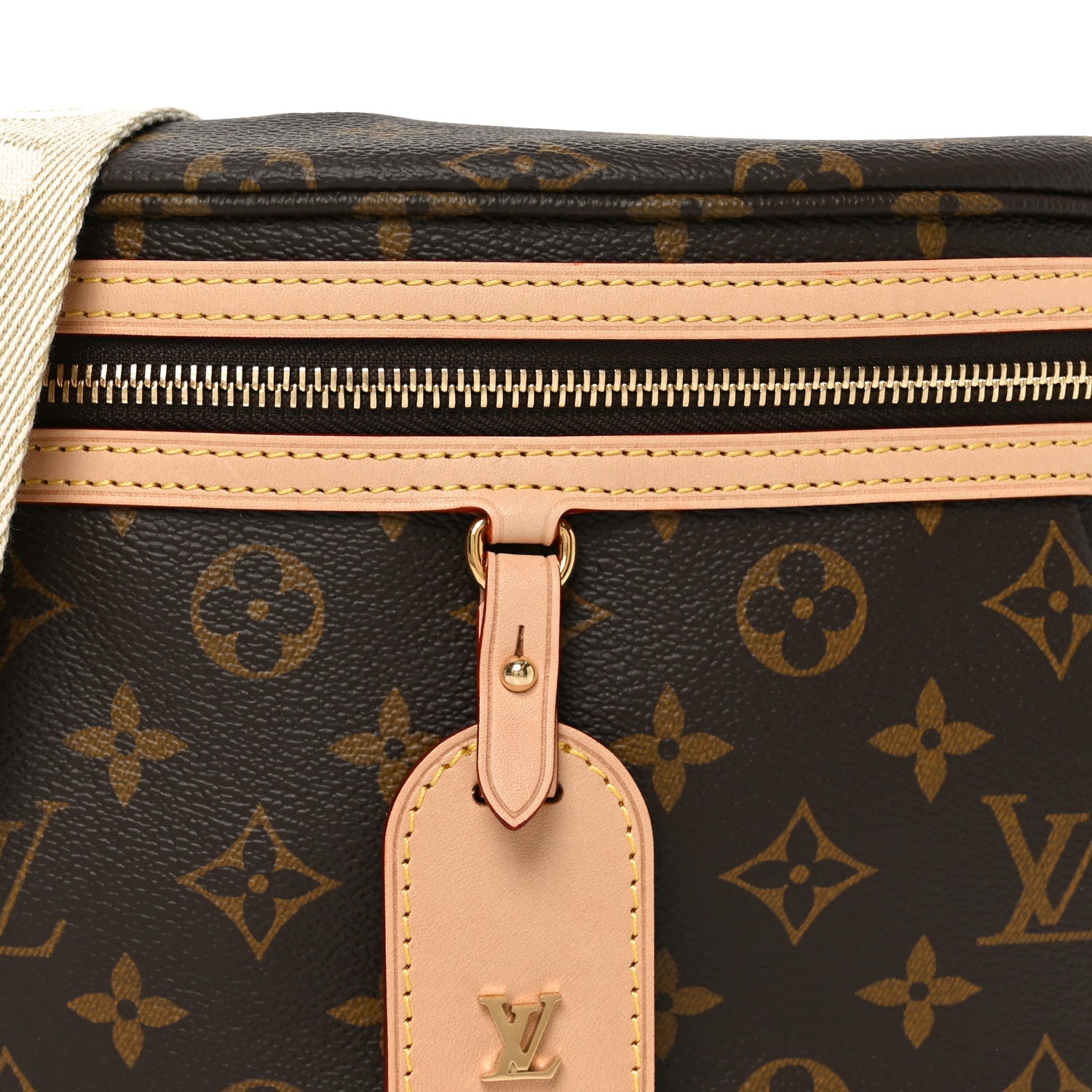 Louis Vuitton Monogram High Rise Bumbag