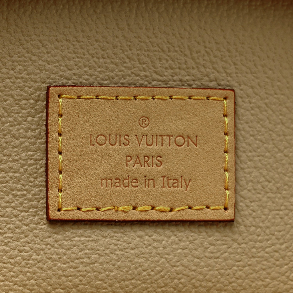 Louis Vuitton Monogram Nano Nice