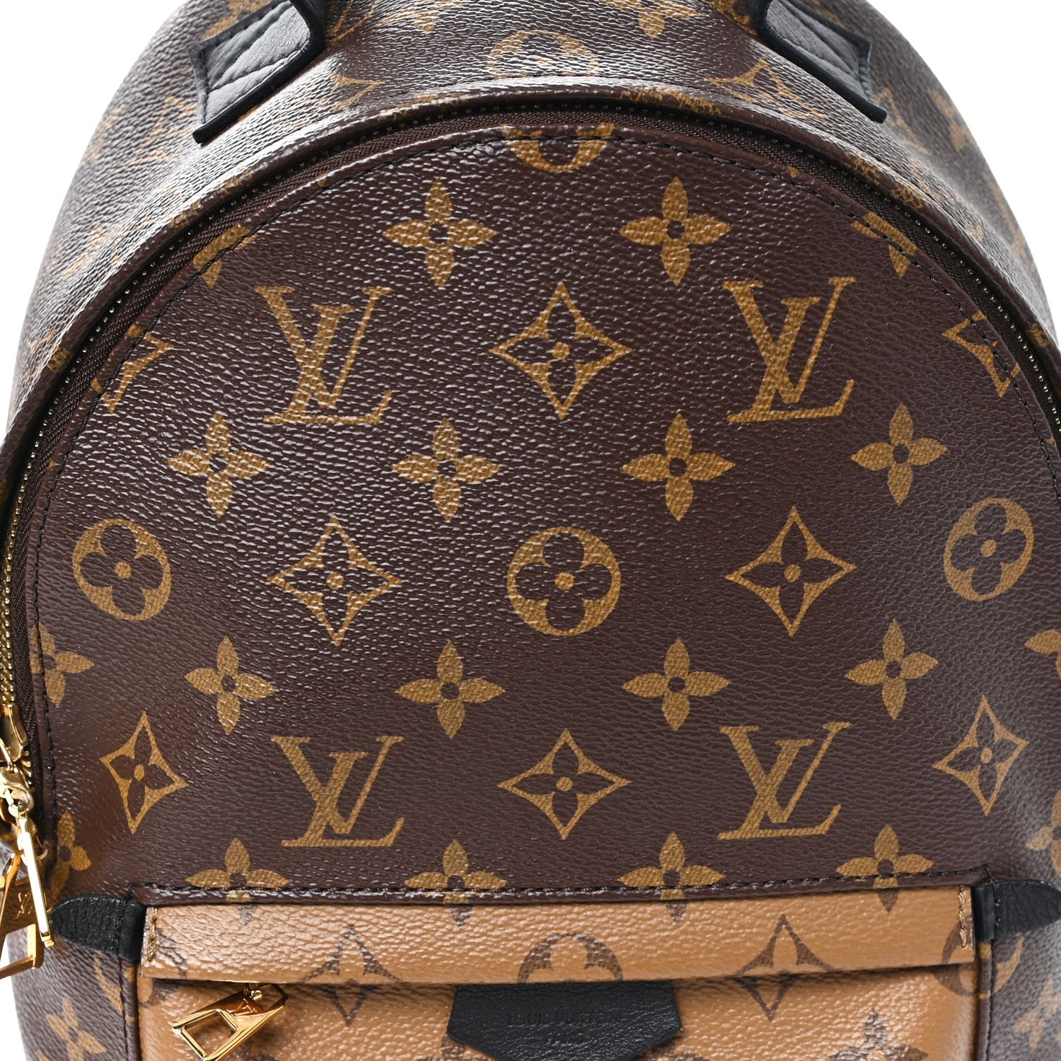 Louis Vuitton Reverse Monogram Palm Springs Backpack PM