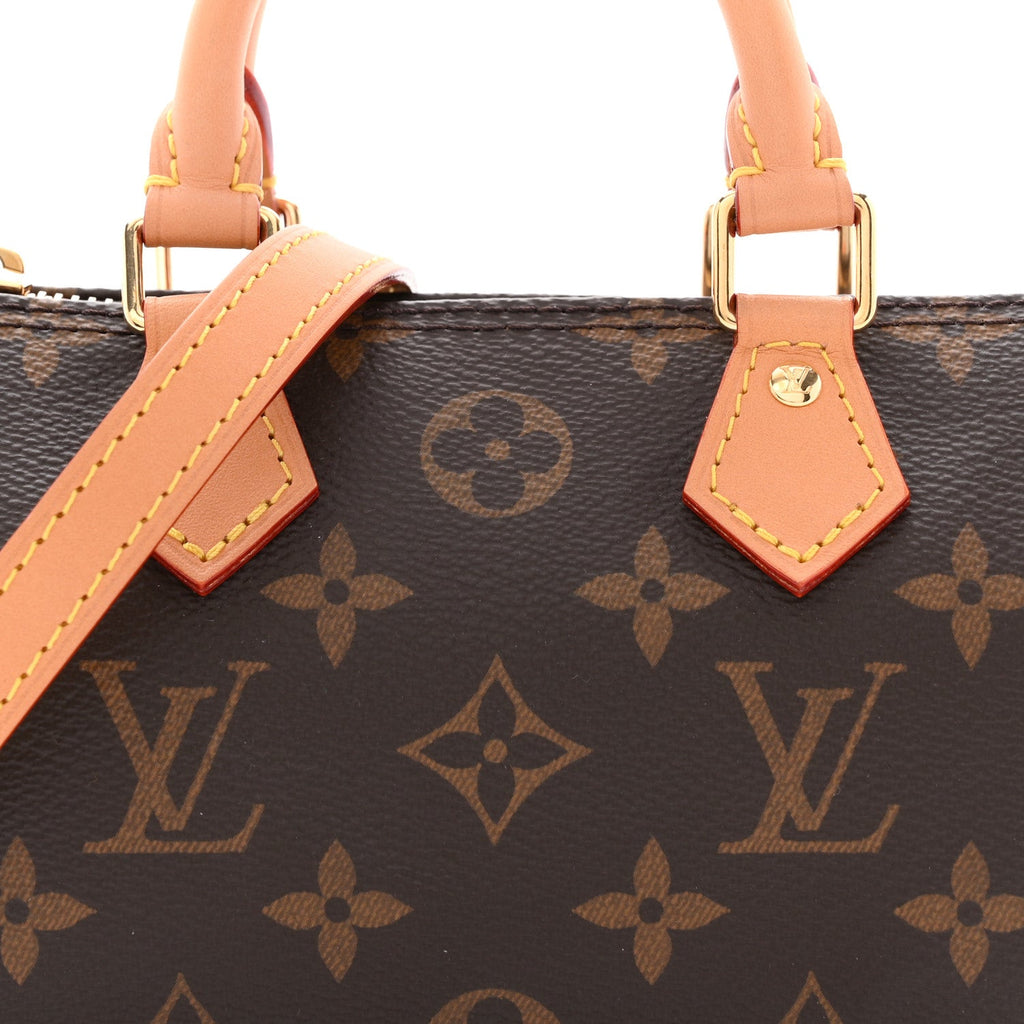 Louis Vuitton Monogram Nano Speedy Bandouliere
