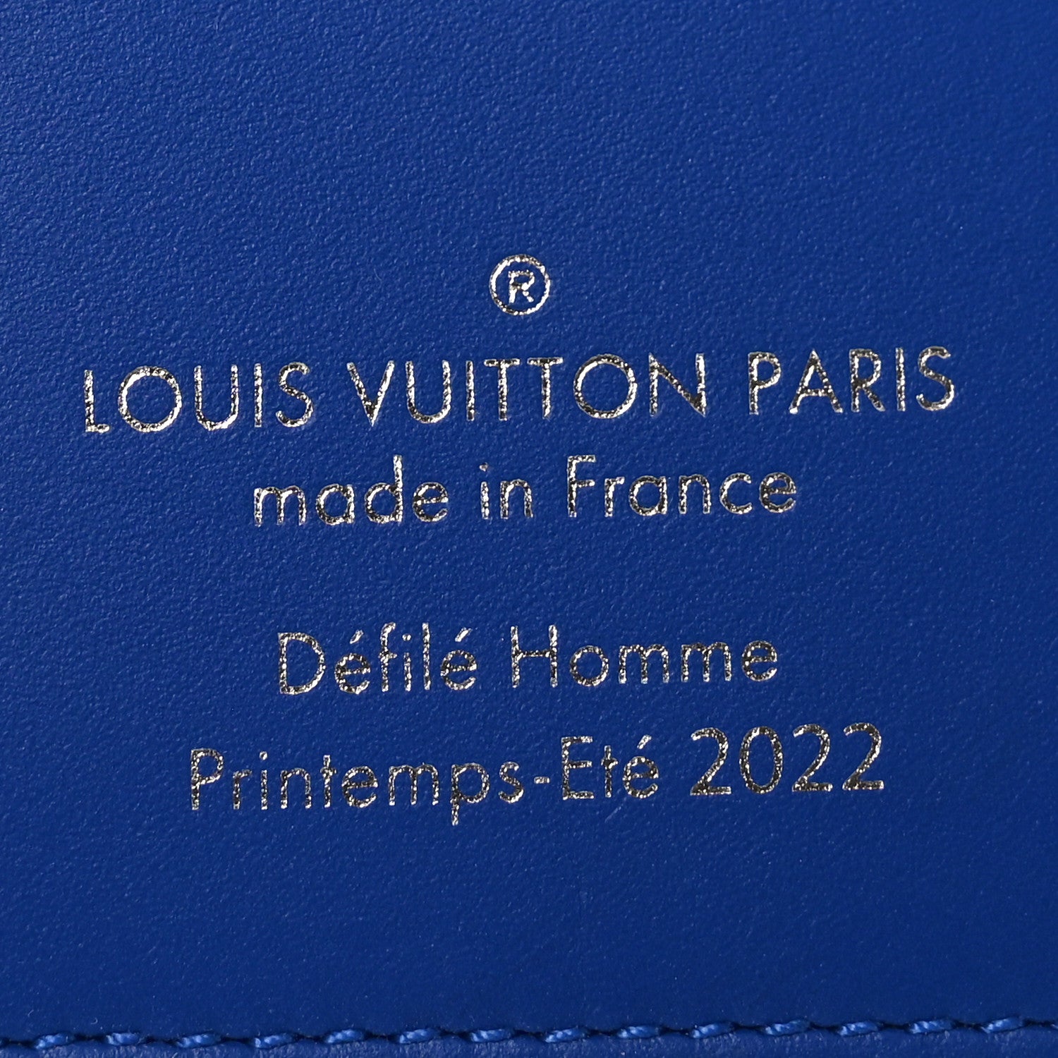 Louis Vuitton Taurillon Illusion Pocket Organizer Bleu Vert