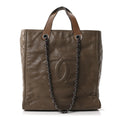 Chanel Iridescent Calfskin In The Mix Tall Tote Khaki