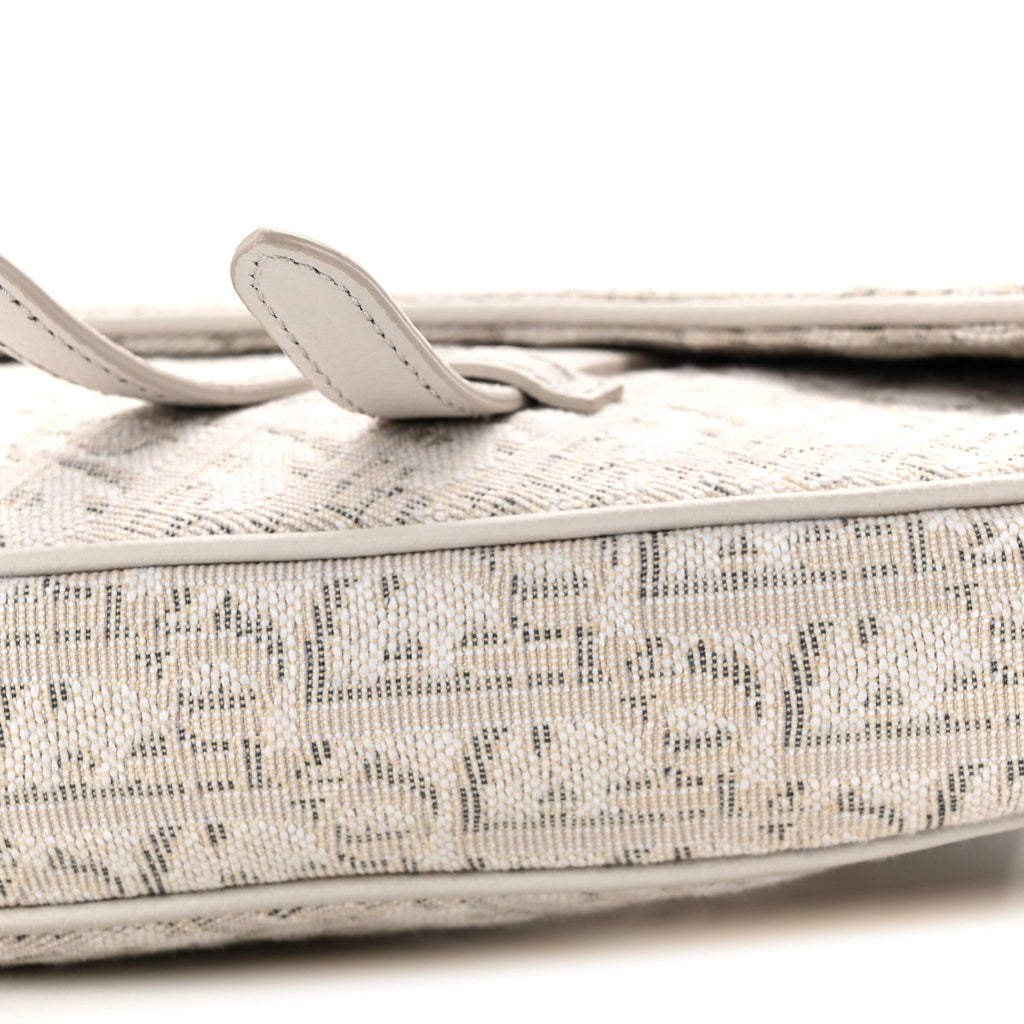 Christian Dior Oblique Mens Saddle Bag Grey