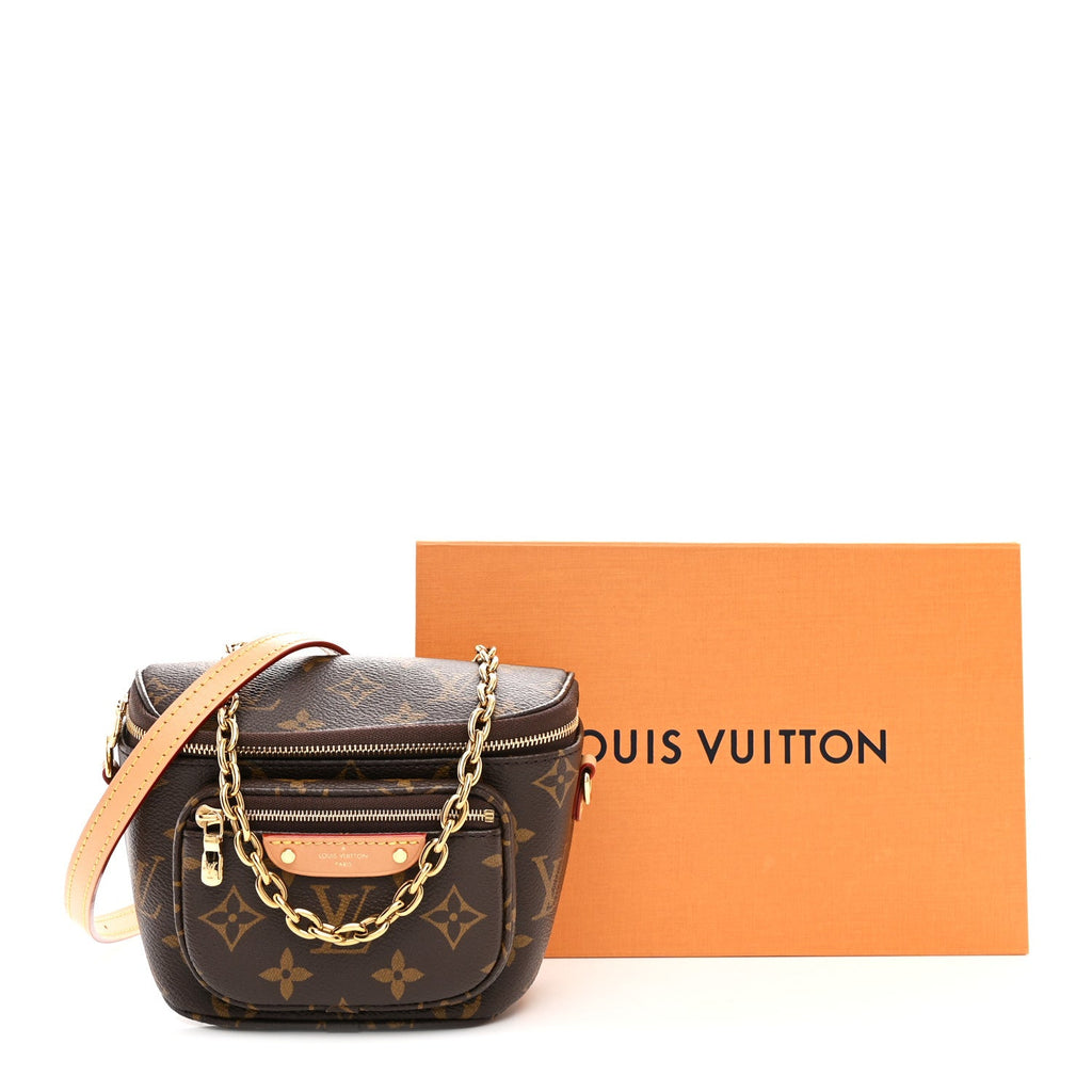 Louis Vuitton Monogram Mini Bumbag