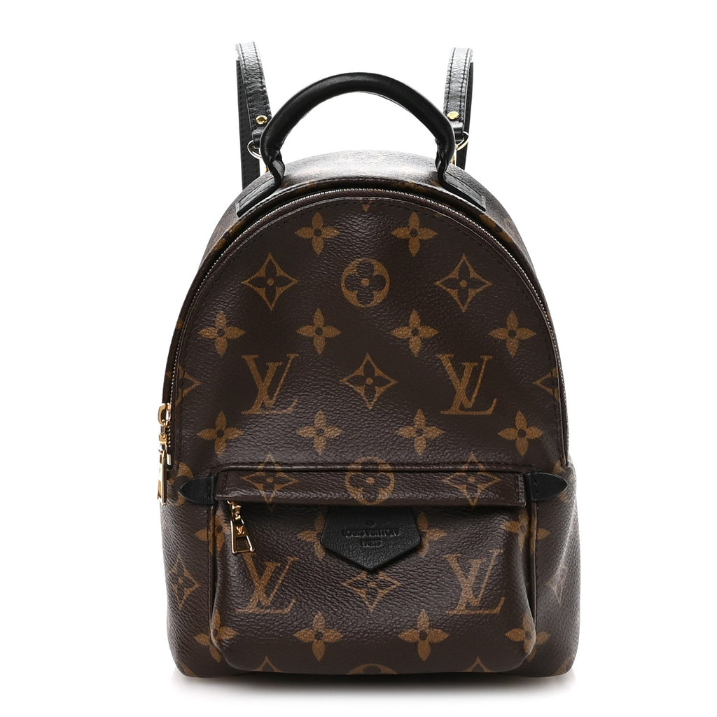 Louis Vuitton Monogram Palm Springs Backpack Mini