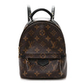 Louis Vuitton Monogram Palm Springs Backpack Mini