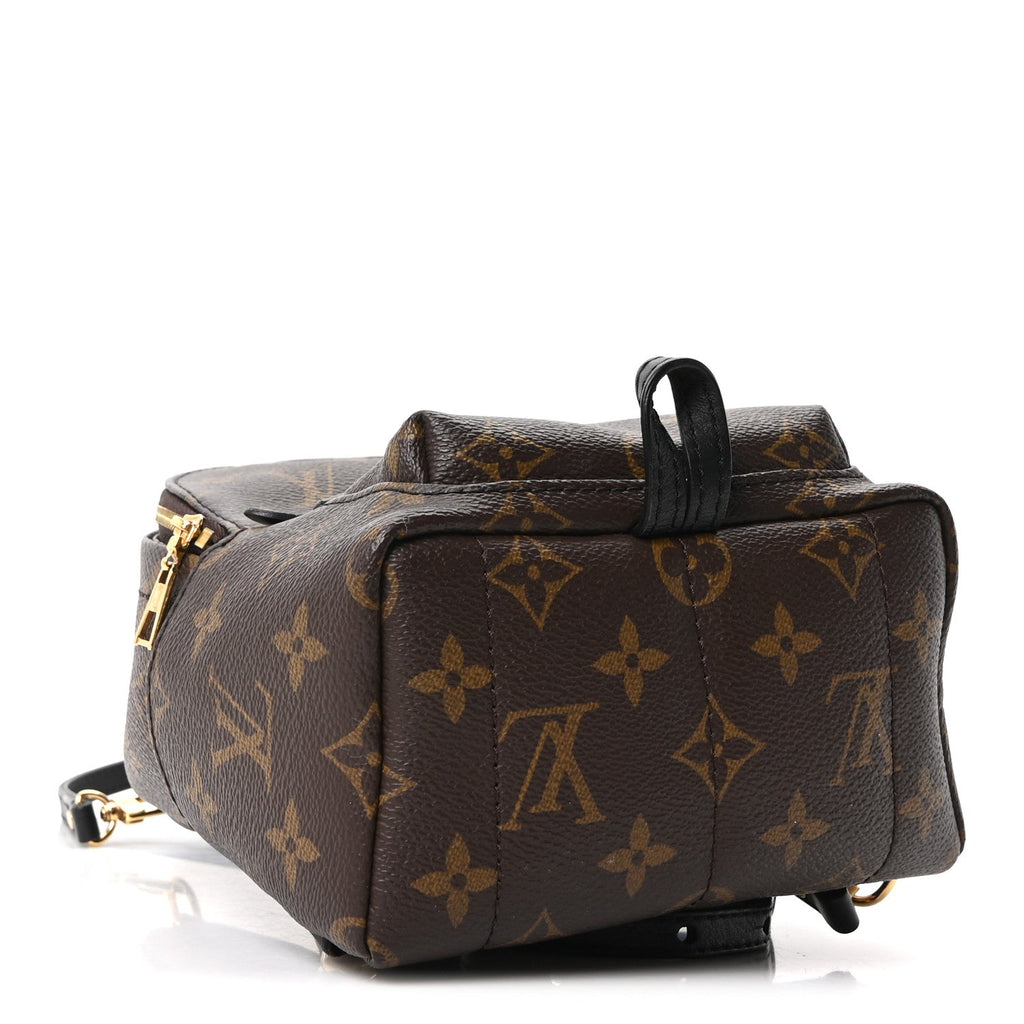 Louis Vuitton Monogram Palm Springs Backpack Mini