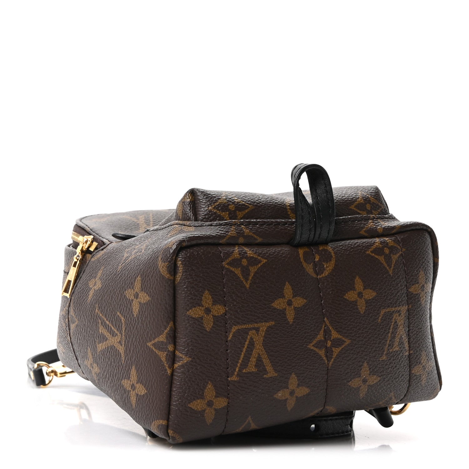 Louis Vuitton Monogram Palm Springs Backpack Mini