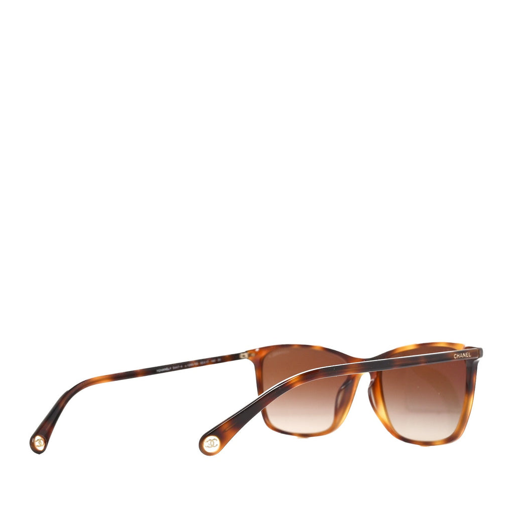 Acetate Polarized CC Square Sunglasses 5447-A Tortoise