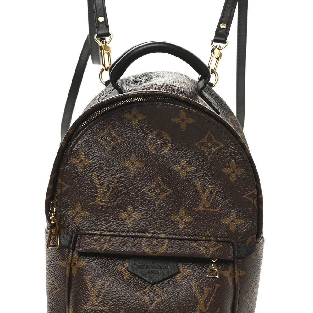 Louis Vuitton Monogram Palm Springs Backpack Mini