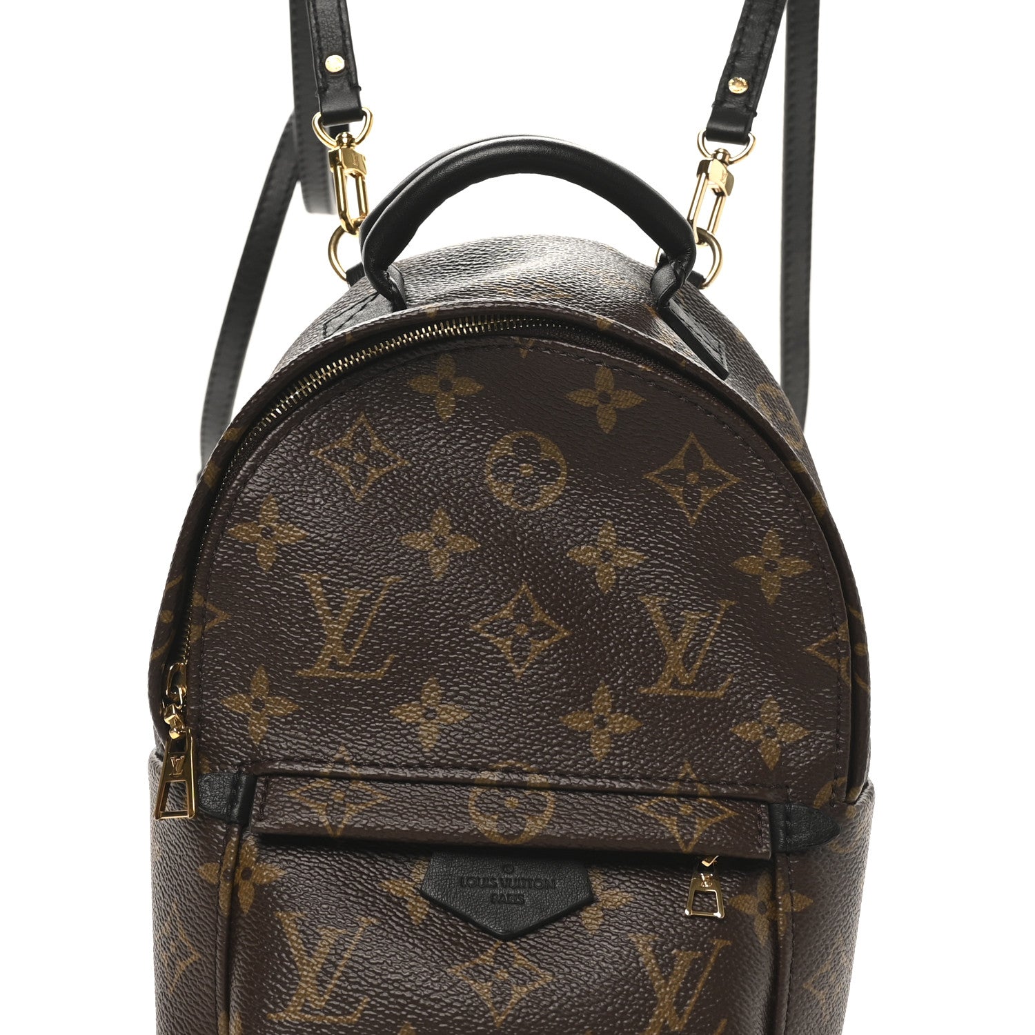 Louis Vuitton Monogram Palm Springs Backpack Mini