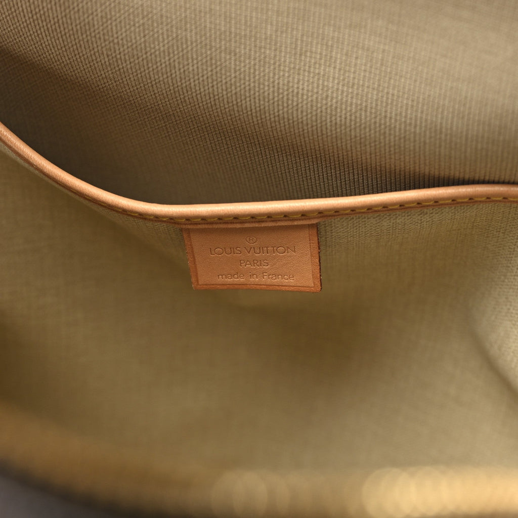 Louis Vuitton Monogram Excursion Shoe Bag