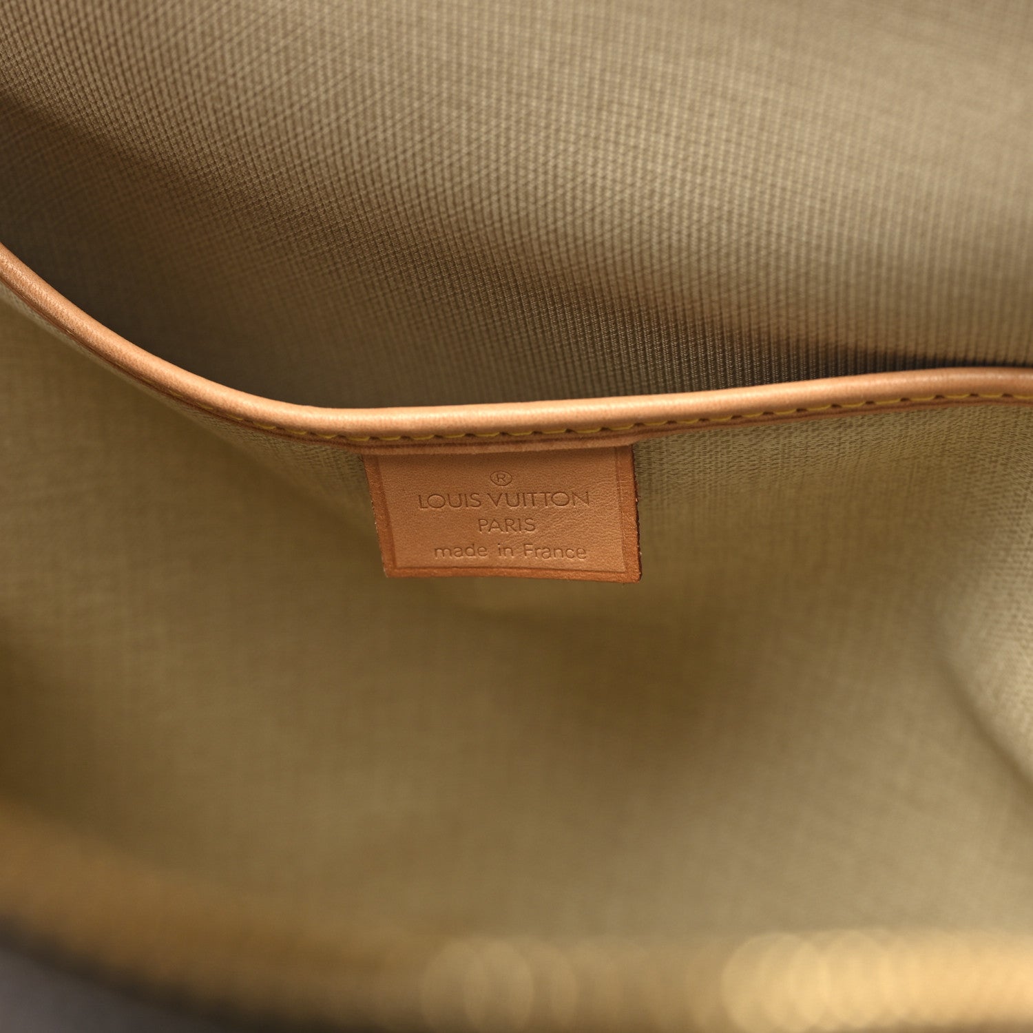 Louis Vuitton Monogram Excursion Shoe Bag