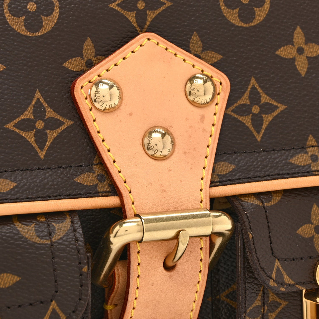 Louis Vuitton Monogram Hudson PM